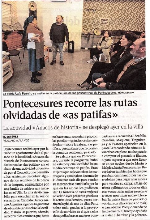 cultura lamprea pontecures la voz de galicia