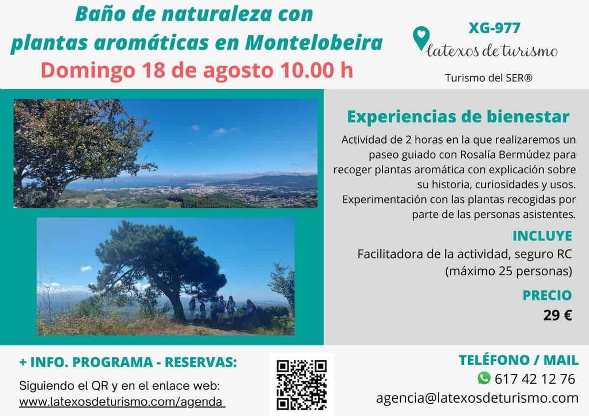 baño-natureza-plantas-aromaticas
