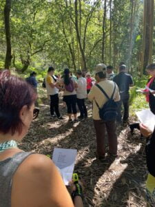 7 julio Camino Santiago (8)