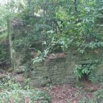 isla_cortegada