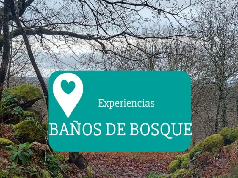 baños-de-bosque