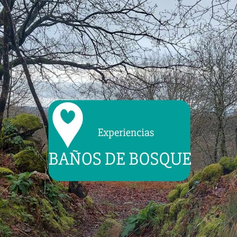 baños-de-bosque