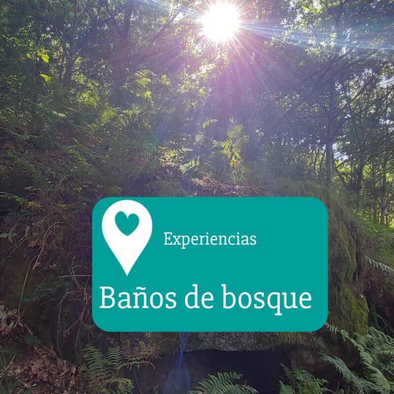 bañodebosque