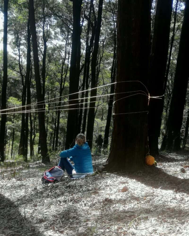 baños-de-bosque-1