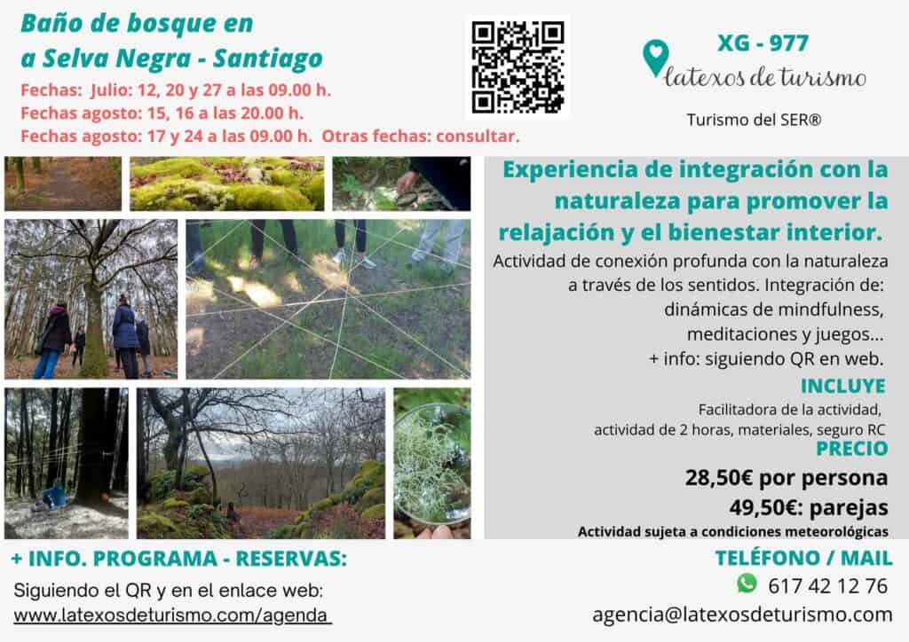 bañodebosque-santiago