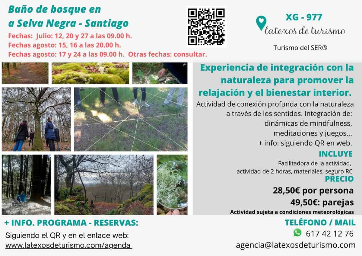 bañodebosque-santiago