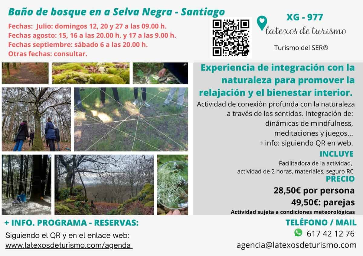 bañodebosque-selvanegra-santiago