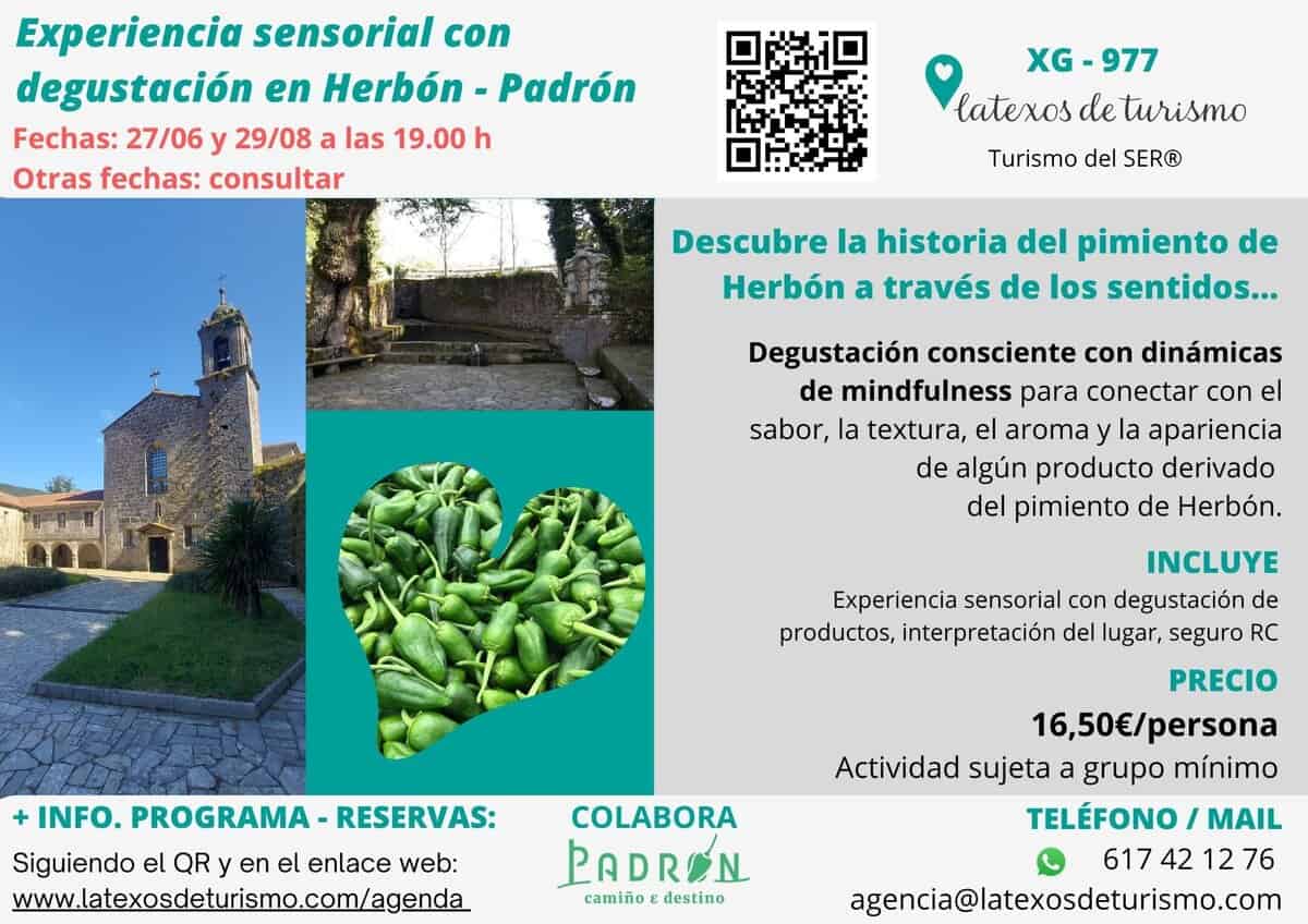 degustacion_pimiento_Herbon