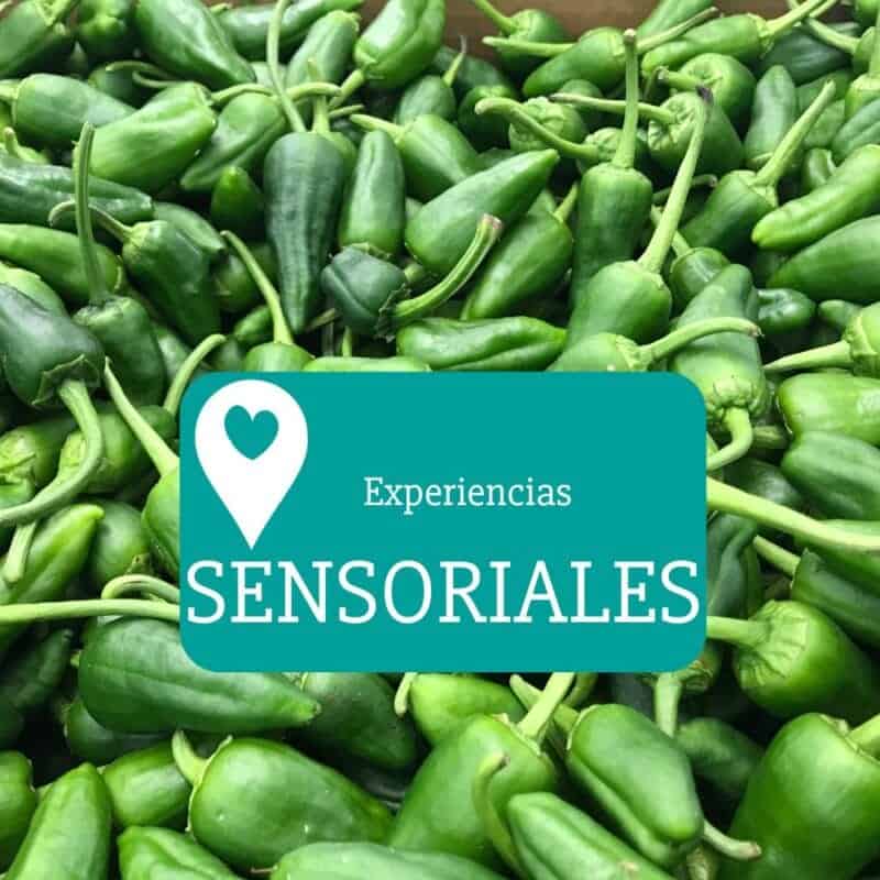 degustaciones(1)