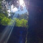 selva negra compostela bañodebosque (4)