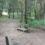 selva negra compostela bañodebosque (7)