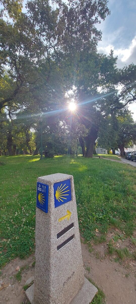 20250621 201353