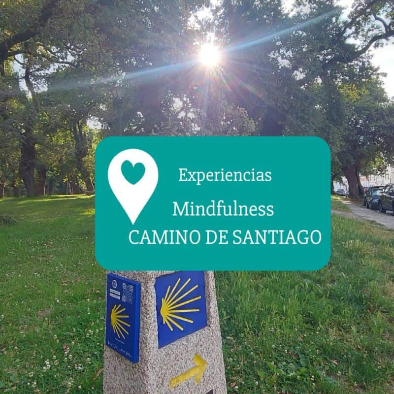 camino-de-santiago