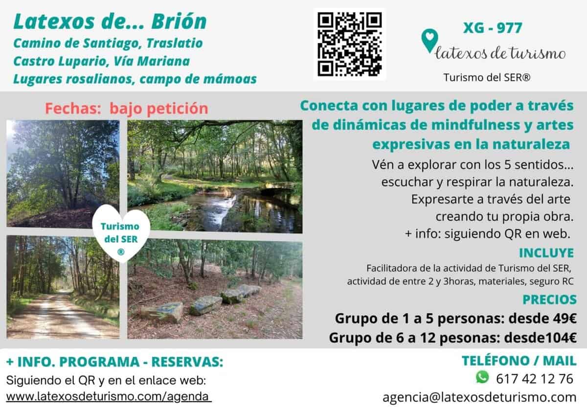cartel_brion_turismodelser