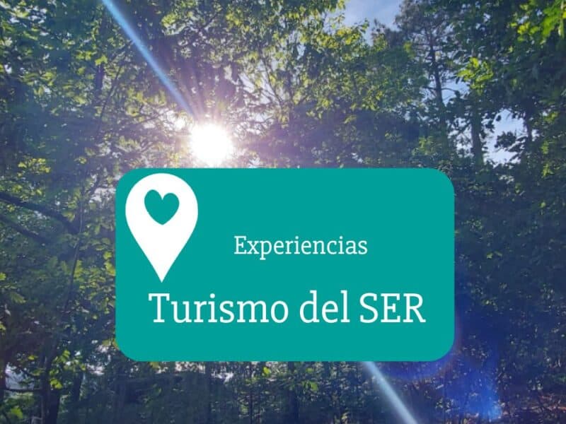 turismodelser