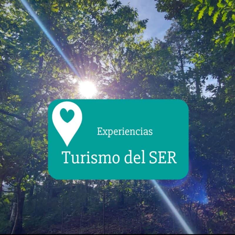 turismodelser
