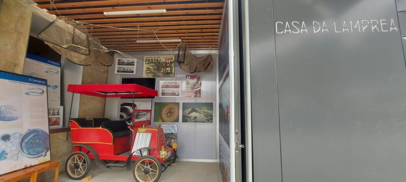 visita Pontecesures (15)