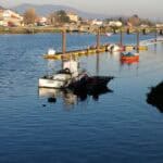 visita Pontecesures (2)