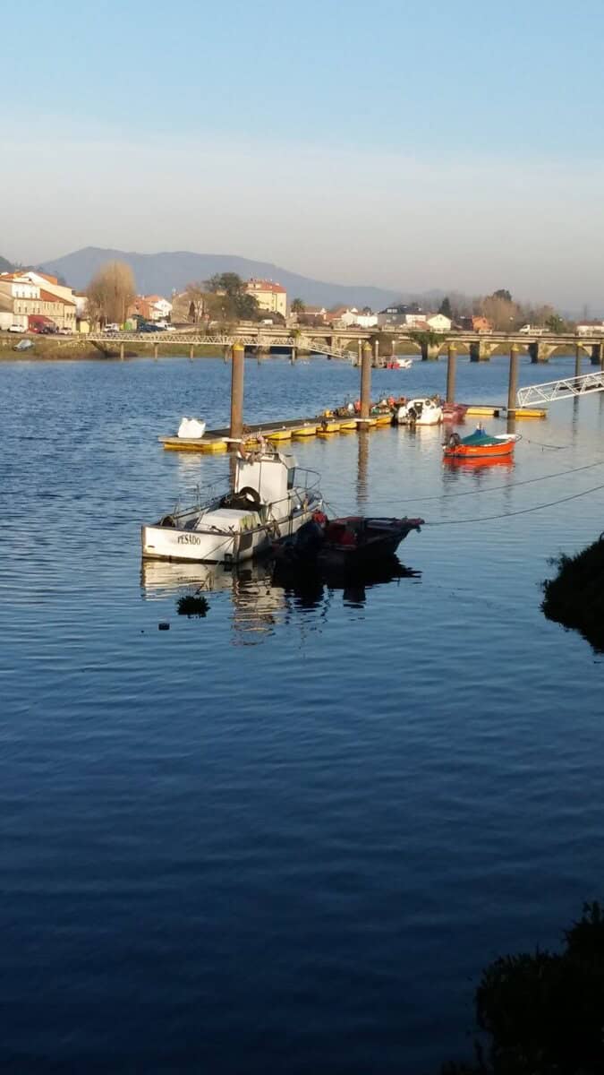 visita Pontecesures (2)