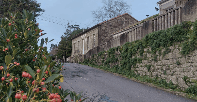 visita Pontecesures (2)
