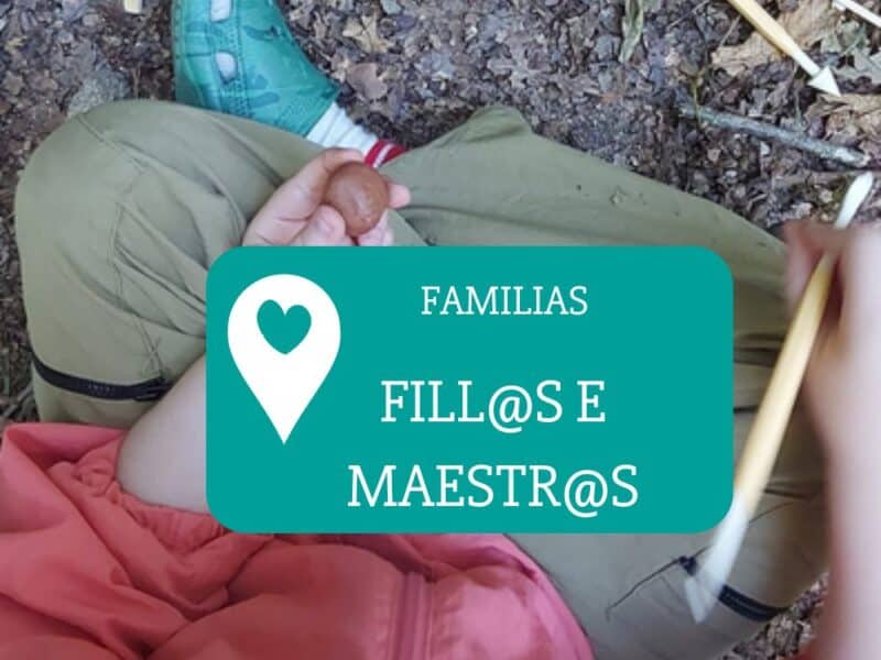 fillos_e_maestros