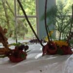 APEGO Teo maio 2025 (17)