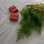 APEGO Teo maio 2025 (4)