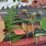 Xirimbao APEGO 18 outubro (8)